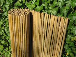 Bamboe rolscherm dalian 150x180 cm kopen?