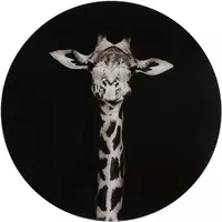 Countryfield schilderij glas makela giraffe 50cm zwart, wit kopen?