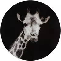 Countryfield schilderij glas mocambo giraffe 60cm zwart, wit kopen?
