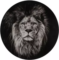 Countryfield schilderij glas sarabi leeuw 60cm zwart, wit kopen?