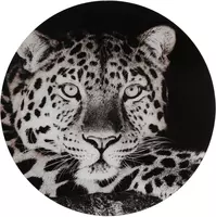 Countryfield schilderij glas wild life luipaard 60cm zwart, wit kopen?