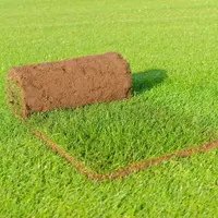 Graszoden 250x40 cm | kwaliteit: speelgazon (sterke grassoort voor diverse toepassingen) kopen?