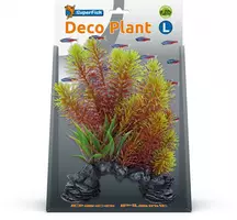 Superfish Deco plant l myriophyllum red kopen?