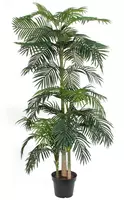 Mica Decorations kunstplant areca palm 240cm groen kopen?