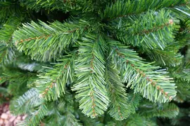 Own Tree Arctic spruce grote kunstkerstboom h240x150cm groen - afbeelding 2