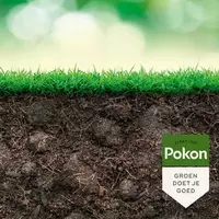 Pokon Bio Plantkuur Grasinsectgevoelige Gazons Concentraat 500ml - afbeelding 2