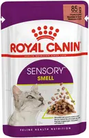 Royal Canin SENSORY™ SMELL in Gravy (brokjes in saus) kopen?