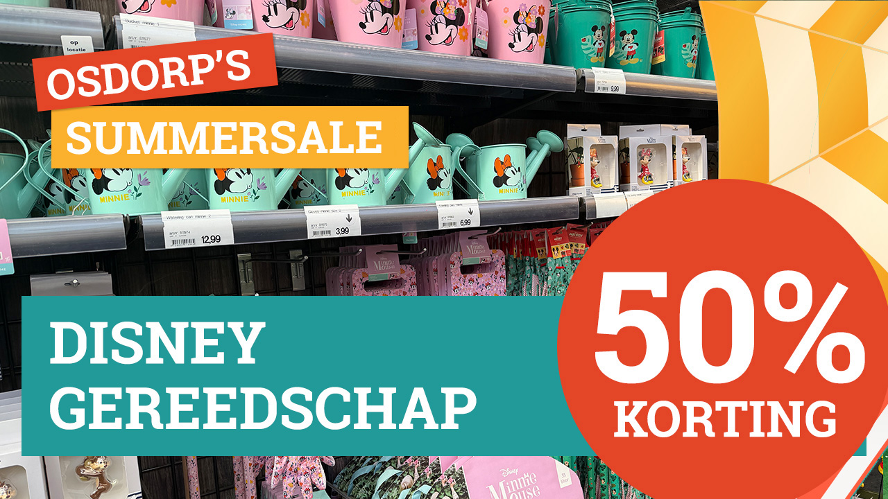 Disney gereedschap 50%