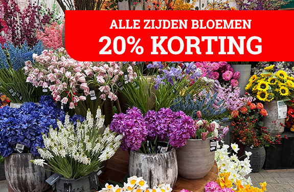 Capi bloempot 1+1 gratis