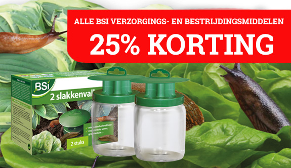 25% klorting op alle artikelen van BSI