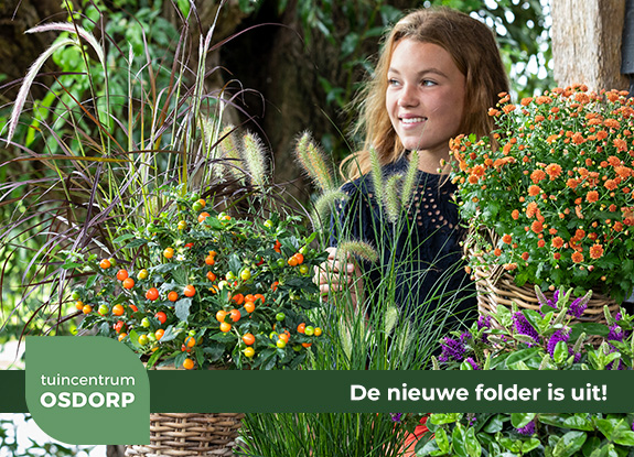 De nieuwe folder is uit!
