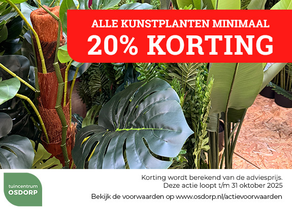20% korting op alle kunstplanten