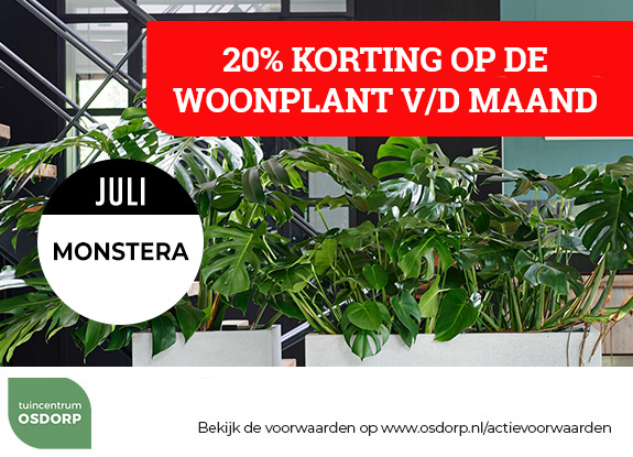 20% korting op de woonplant van de maand