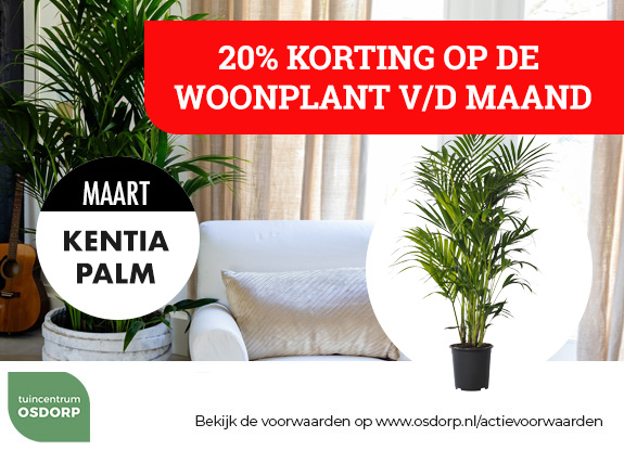 20% korting op de woonplant van de maand