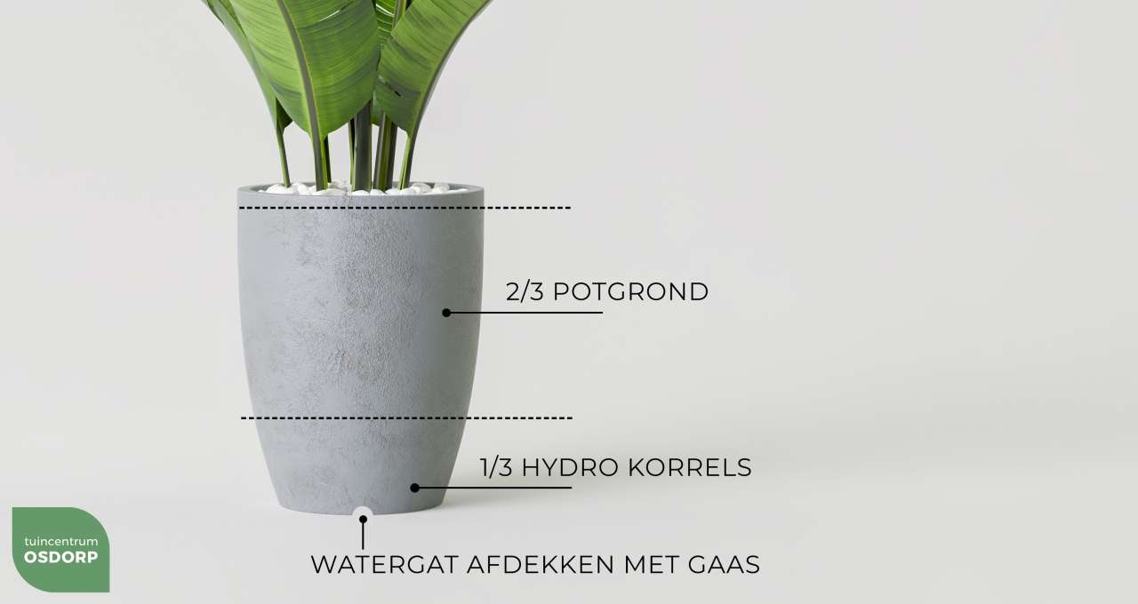 Specialiseren India Lil Geglazuurde bloempot egg 43x35 cm blauw kopen? - tuincentrum Osdorp :)