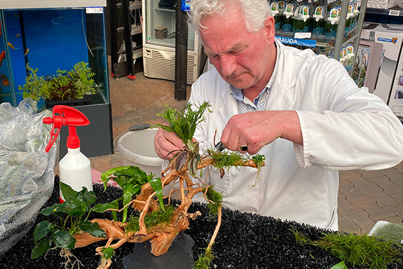Demonstratie Aquascaping