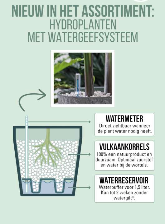 Zo werkt de watermeter bij Beautanic planten op hydrocultuur