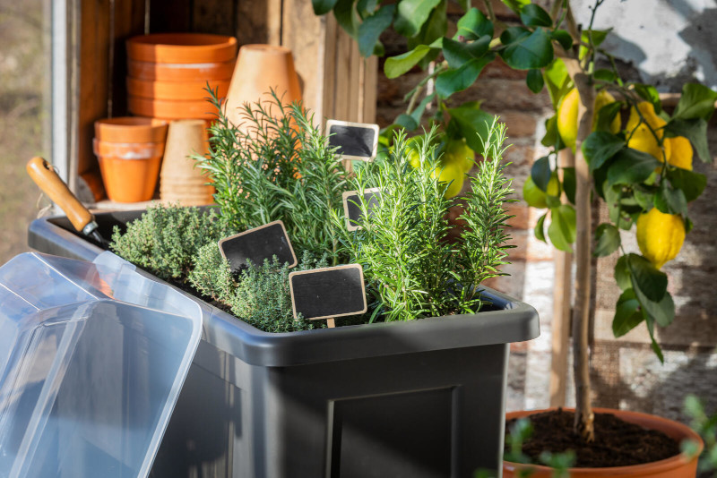 Begin een moestuin(tje) met tips