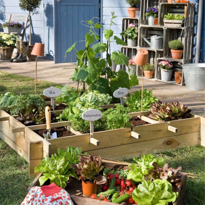 Begin een moestuintje