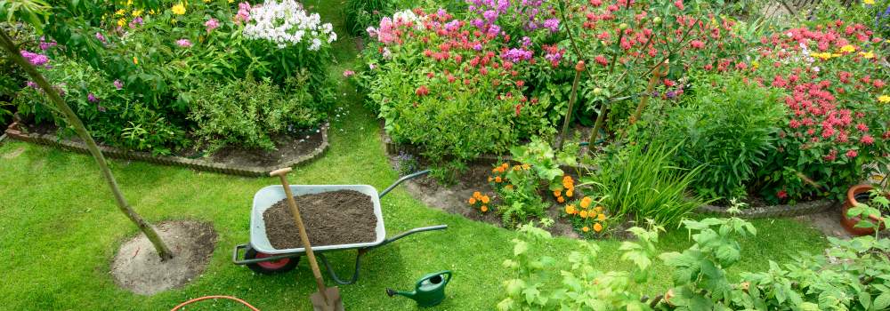 Hoe voeg je beplanting toe in je tuinontwerp?