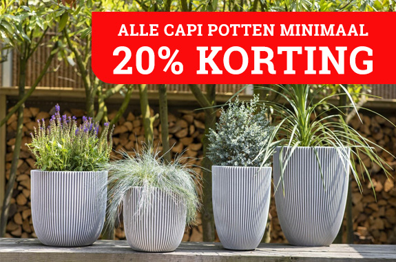 Minimaal 20% korting op Capi potten