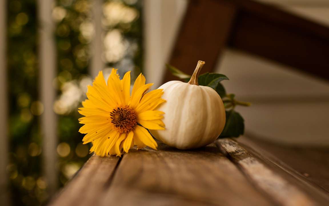 De gezelligste herfstdecoratie voor in huis