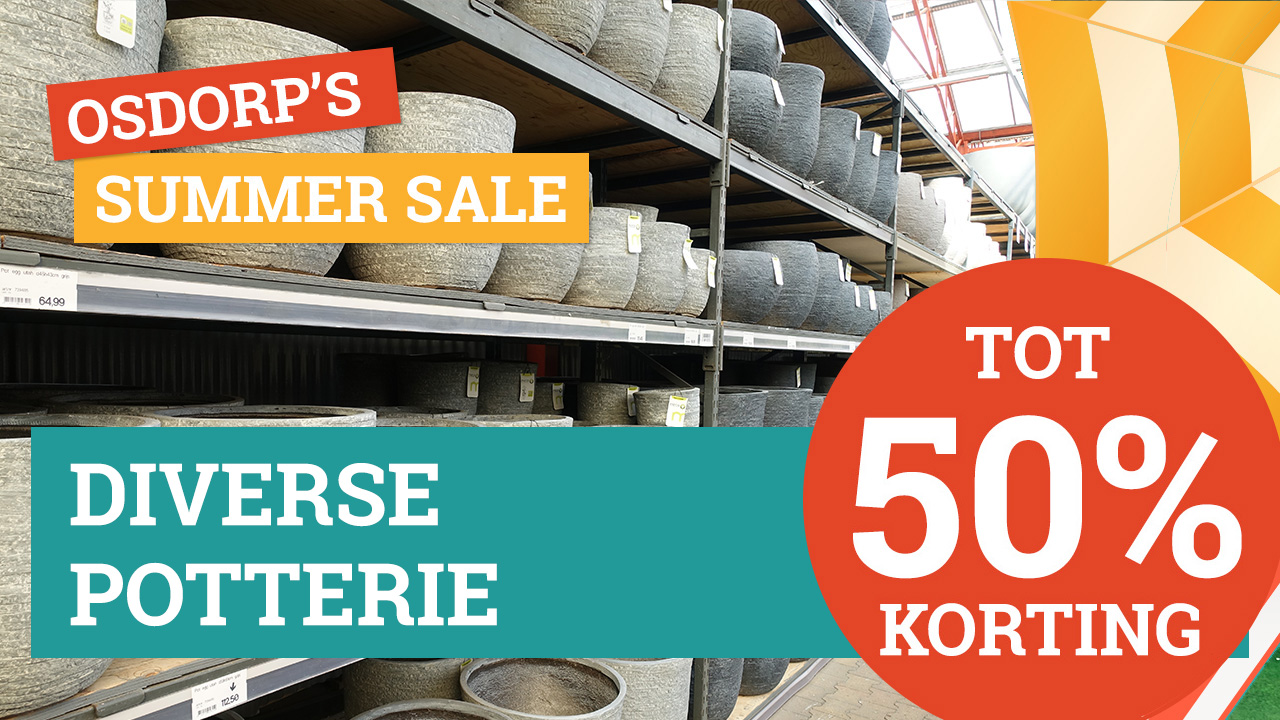 Veel potterie tot 50% korting