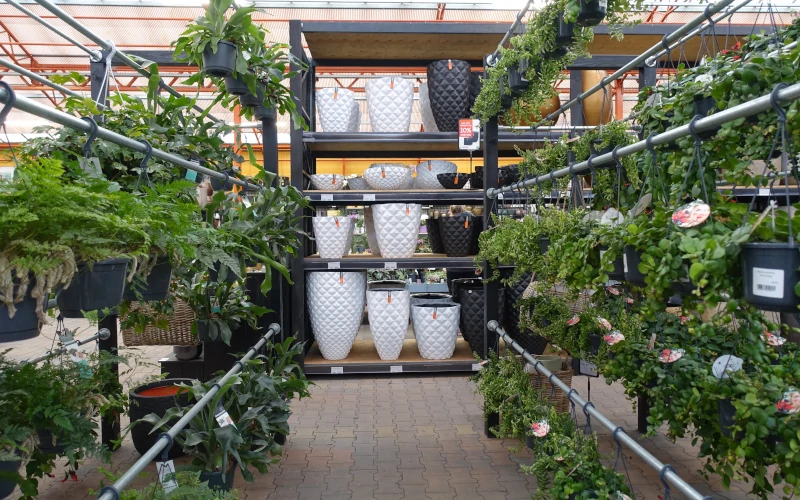 Hangende kamerplanten bij tuincentrum Osdorp