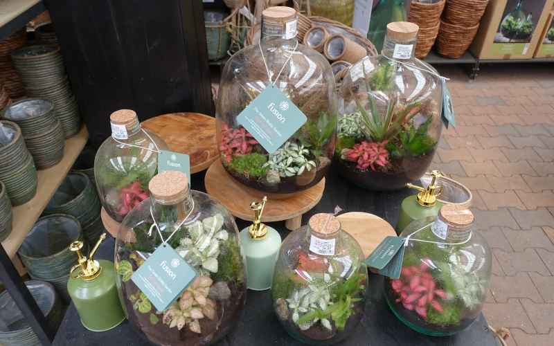 Planten terrariums kopen in Amsterdam