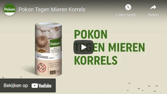 Pokon Mieren Korrels om mieren te bestrijden.