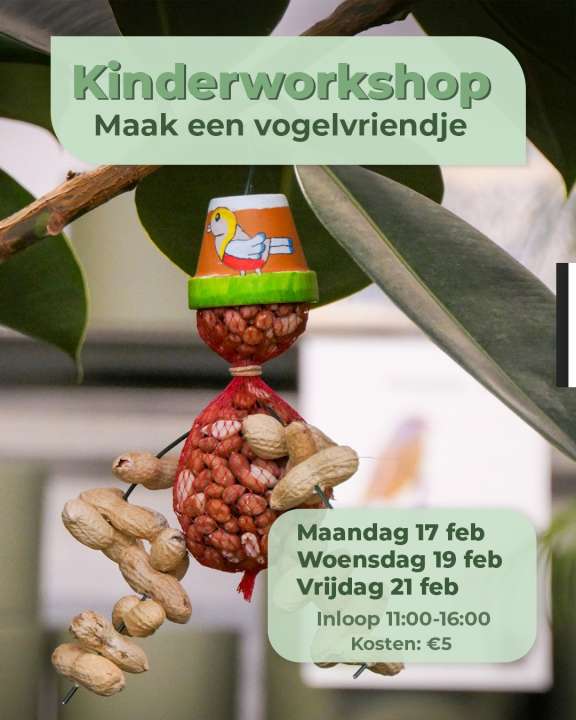 Kinderworkshop Vogelvriendje maken