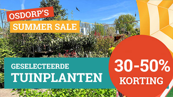 Tuinplanten 30- 50% korting