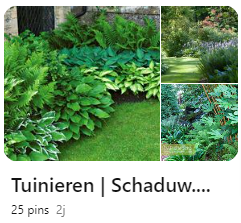 tuinplanten voor een schaduwrijke tuin