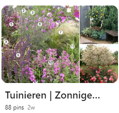 Tuinplanten voor een zonnige tuin