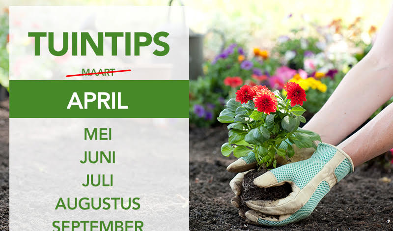 Tuintips april