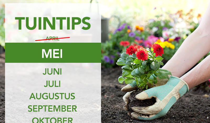 Tuintips mei