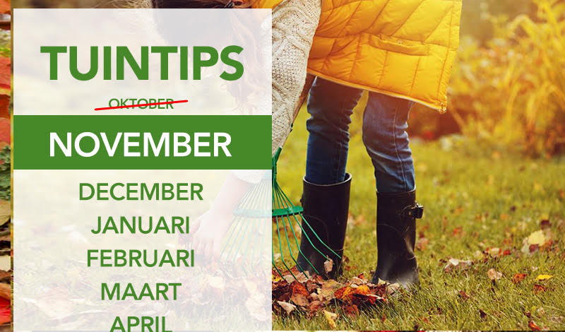 Tuintips november