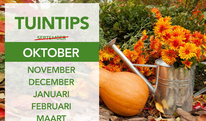 Tuintips oktober