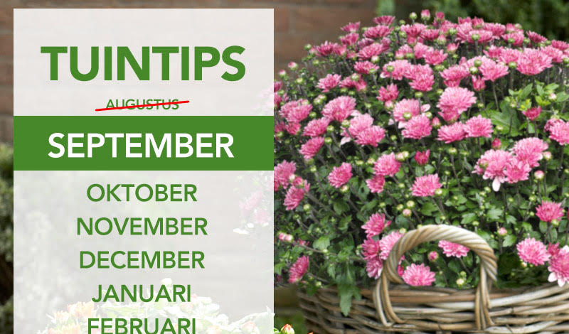 Tuintips september