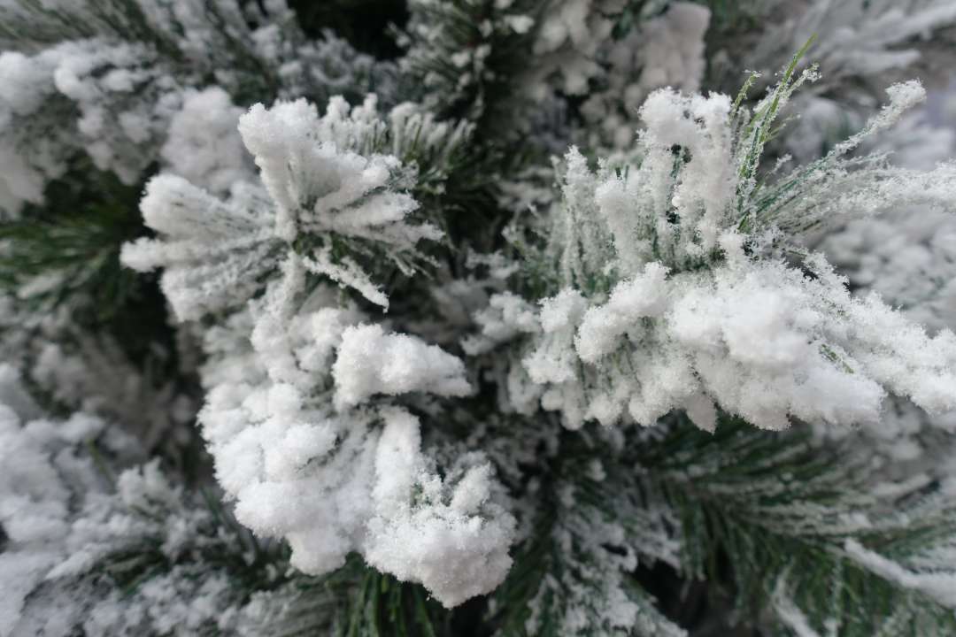 Black Box Chandler tree kunstkerstboom met sneeuw