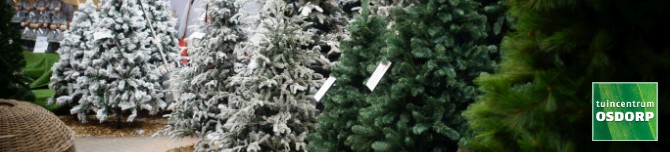 Black Box Trees koop je bij tuincentrum Osdorp in Amsterdam