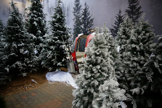 Black Box kunstkerstbomen kopen bij tuincentrum Osdorp