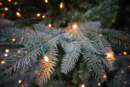 Blauwe kunstkerstboom met ingebouwde kerstverlichting kopen tuincentrum Osdorp Amsterdam