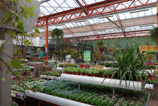Beplantingsadvies bij tuincentrum Osdorp in Amsterdam
