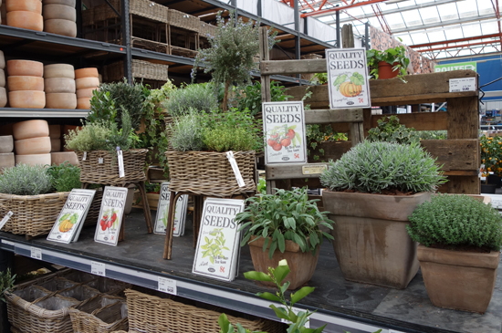 Kruidenplanten kopen bij tuincentrum Osdorp in Amsterdam