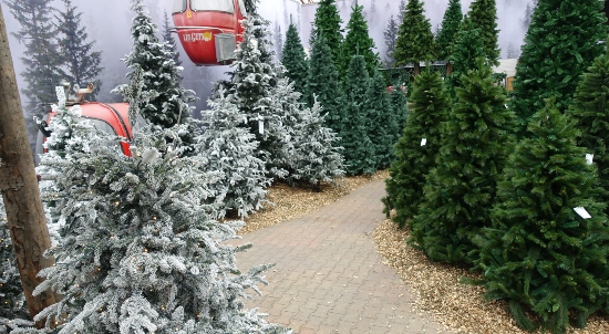 Een kunstkerstboom kopen in het kunstkerstbomen bos bij tuincentrum Osdorp in Amsterdam