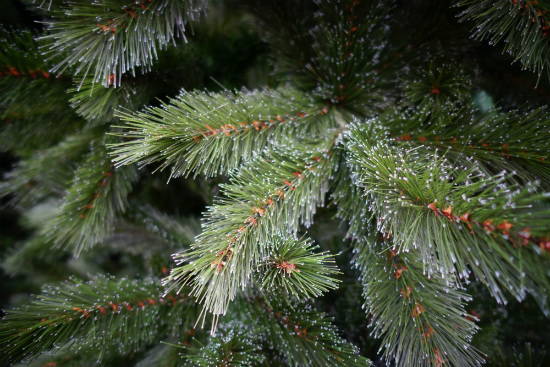 Kunstkerstboom Own Tree Siberian spruce met sneeuw kopen