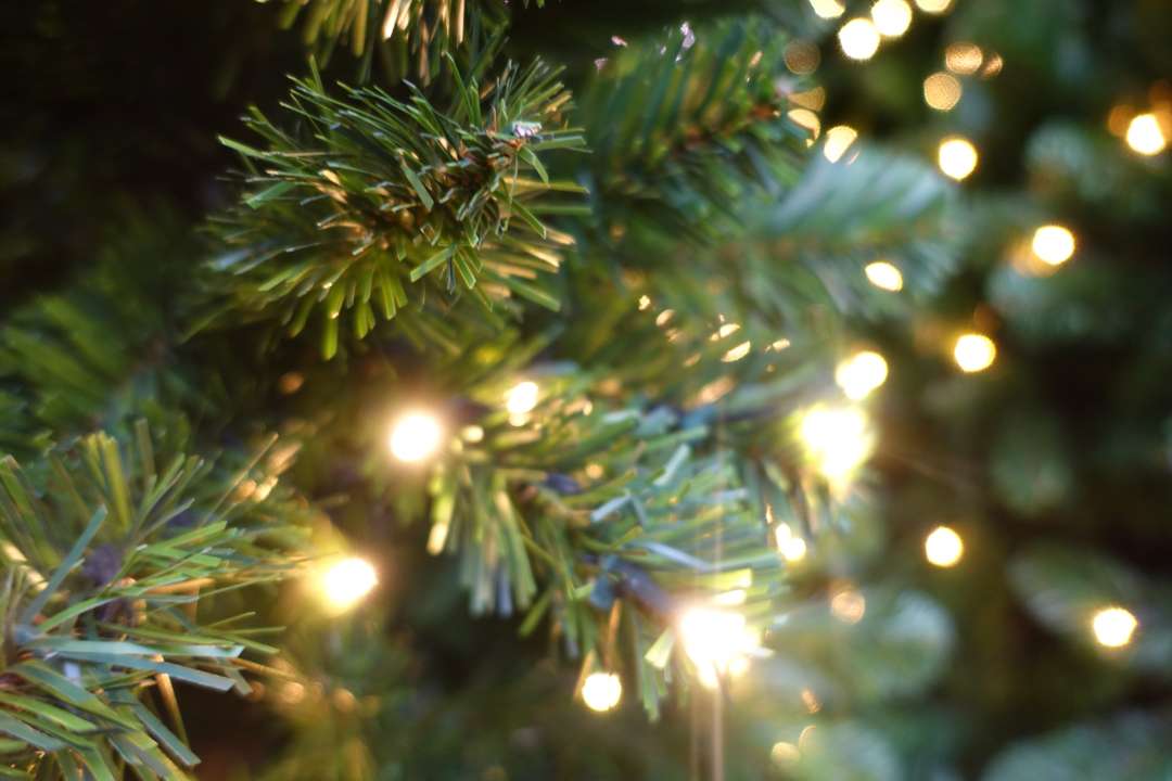 overdrijving Uitgaand Overwinnen De mooiste kunstkerstbomen met ingebouwde kerstverlichting op een rij!