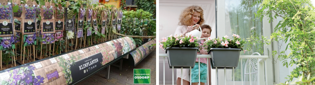 Planten voor op je balkon - Tuincentrum Osdorp