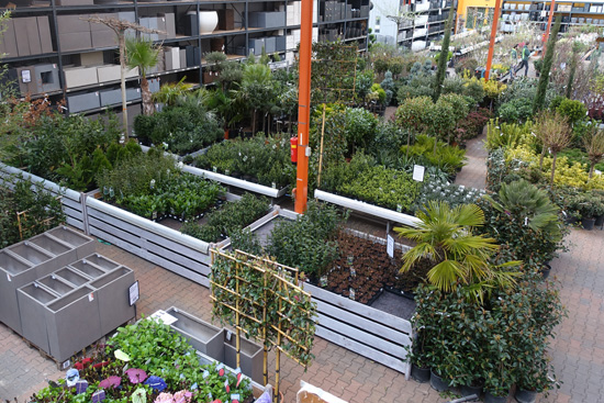 Struiken en heesters kopen bij tuincentrum Osdorp in Amsterdam